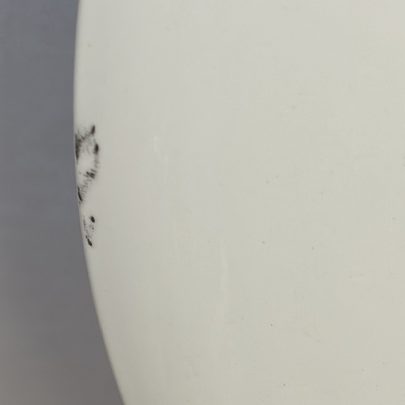 Pair of Royal Stafford Toile Dinner Plates - Picture 6 of 7